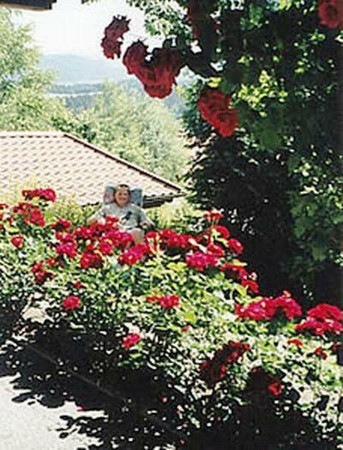 Haus Bergblick Bay. Wald Apartment Prackenbach Exterior foto