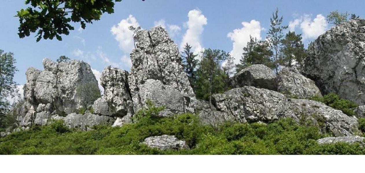 Haus Bergblick Bay. Wald Apartment Prackenbach Exterior foto